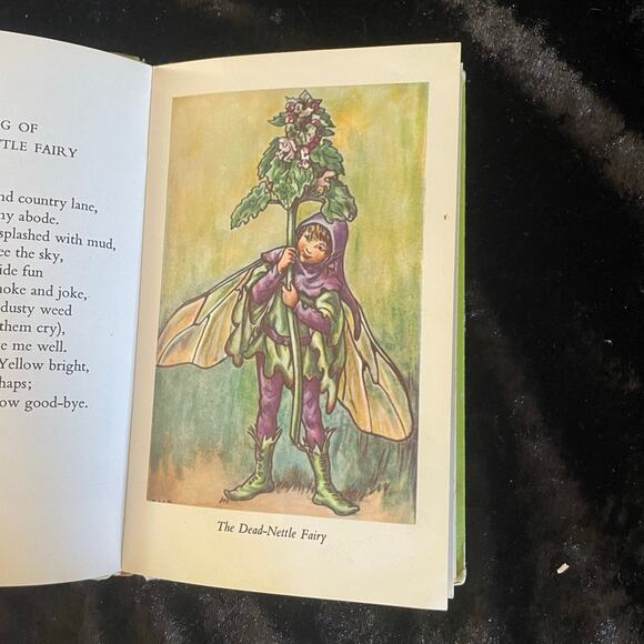 Flower Fairies of the Spring by Cicely Mary Barker | 1974 | Vintage Fairy Book - Picture 6 of 11